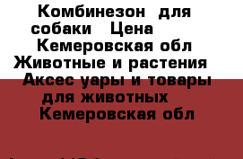 Комбинезон  для  собаки › Цена ­ 800 - Кемеровская обл. Животные и растения » Аксесcуары и товары для животных   . Кемеровская обл.